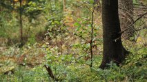 odnowienie-regla-dolnego.2_f